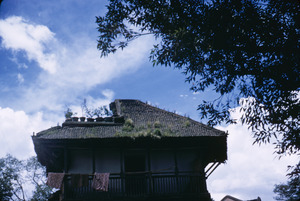 Roof garden in Kathmandu