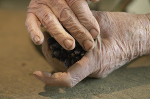 Hibbard Farm: close-up of a woman's hands while bunching asparagus