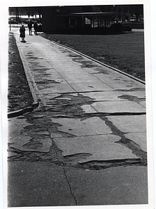 Path in Boston Common