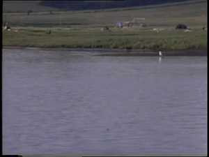 Unalakleet