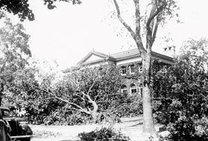 1938 Hurricane Aftermath, Melrose Public Library: Melrose, Mass.