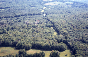 Aerial oblique view east of Shoen Residence & NW H Rd on 2 Sept 1971.E