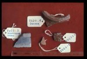 Pottery Fragments, Including Merovingian Sherd