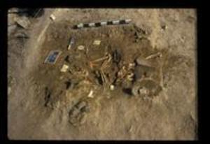 Skeletal Remains at Trench 32, 1987