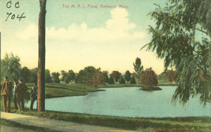 Summer view of Massachusetts Agricultural Campus pond