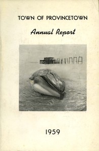 Annual Town Report - 1959