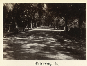 Boston to Pittsfield, station no. 9, Wellesley