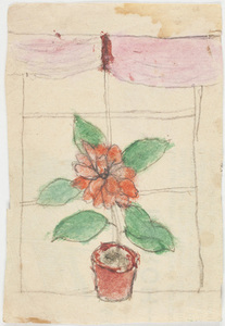 Drawing of plant with red flower