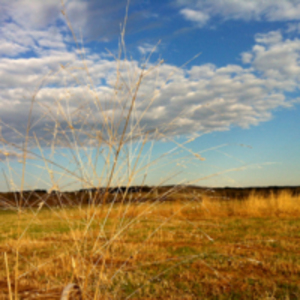 Morning light at the arcadia sanctuary