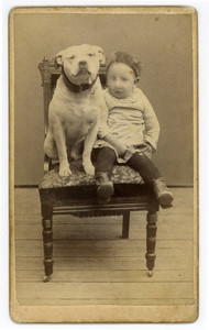 Carte-de-visite of an unidentified boy and a dog seated on a chair, Newburyport, Mass., undated