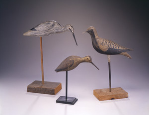 Shorebird Decoy