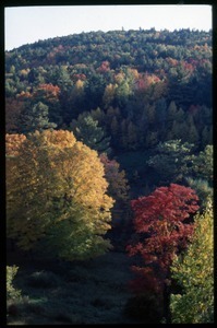 Autumn view of trees and hills, Montague Farm commune