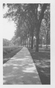 Campus Views, Roads and Walks 1920-1989
