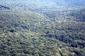 Aerial oblique view east of junction of South Branch and Middle Branch of Birch Brook on 2 Sept 1971.