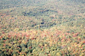 Aerial oblique southwestern view of Moon Lot - Primmer Farm on 14 October 1971.