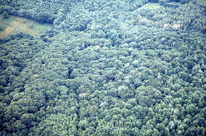 Aerial oblique view of Ford Glen Brook on 14 July 1971. Clearing on left is Mason's Farm.