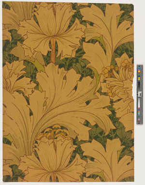 Wallpaper Fragment