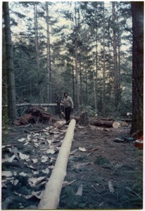 Mark Sommer skinning poles for barn