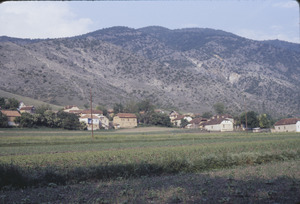 Roadside fields