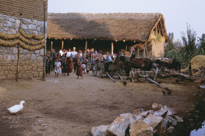 Wedding party assembles in Velesta