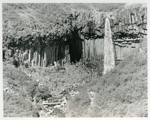 Svartifoss and basaltic columns