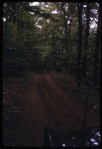 Dirt road leading to Johnson Pasture Commune