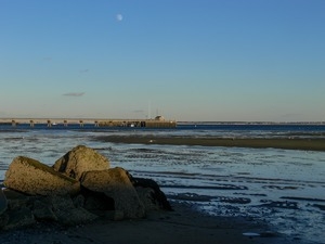 Coast Guard Wharf at low tide, Provincetown