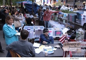 Occupy Wall Street: the People's Free Library