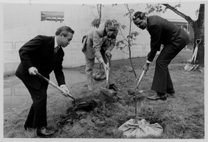 Randolph W. Bromery planting tree with two unidentified men