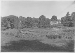 Campus Views, Fields and Gardens