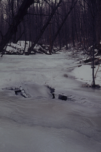 Birch Brook frozen over.