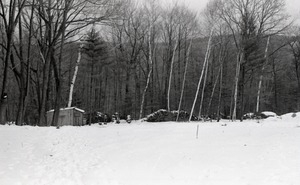 Snowy woods with shed and woodpile