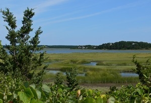 View over the marshlands, Wellfleet Bay Wildlife Sanctuary