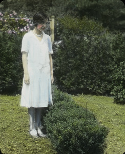 Box barberry (woman standing next to plantings)