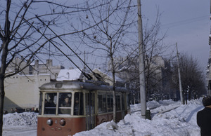 Trolley car in a wintry Belgrade