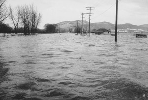 Flooded building and billboard