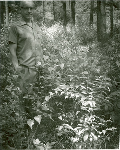 Forestry and Wildlife Management - Mt. Toby Forest