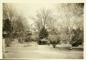 Rhododendron Garden