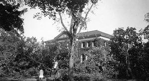 1938 Hurricane Aftermath, Melrose Public Library: Melrose, Mass.