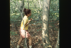 Maya Kumar, Williams Class of 1996, coring American beech sample tree to determine its growth rate in Permanent Plot 1121.