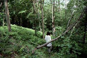 Hayscented Fern Study. 4. Andrew Werbrock (Class of 2000) laying out permanent plot near Taconic Crest.