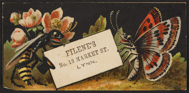 Trade card for Filene's, department store, No. 18 Market Street, Lynn, Mass., undated