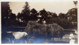 Two men working on a hay wagon, Lyman Estate Grounds