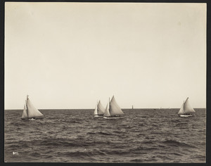 Cohasset Regatta