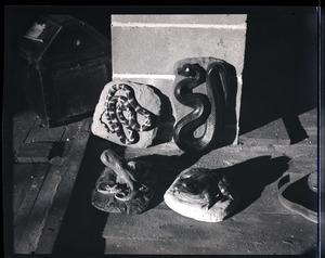 William F. Clapp: Museum models of snakes, an octopus, and frog