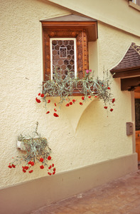 Window boxes adorning stucco house