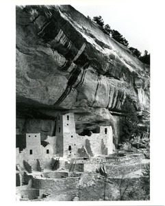 Cliff Palace, straight cliff