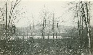 Forestry and Wildlife Management - Mt. Toby Forest