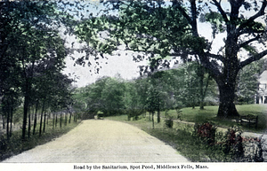 Road by the Sanitarium, Spot Pond, Middlesex Fells: Stoneham, Mass.