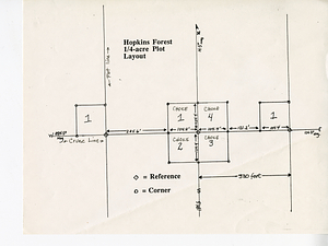 Hopkins Forest 1/4 Acre Plot Layout
